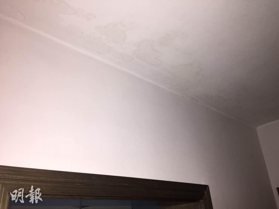 c91140196c6042d4ab95b5b6975f5cc5.jpg 1.jpg